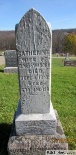 Catherine Albertson Neiswander