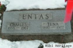 Antonina "tena" Silinskis Entas