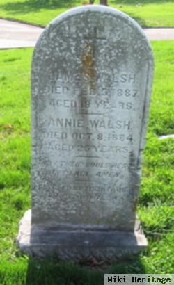 James Joseph Walsh