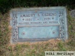 Amaury Enrique Cedeno