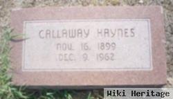 William Callaway Haynes