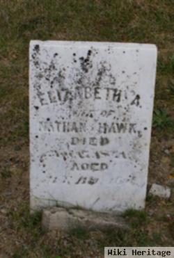 Elizabeth A Hawk