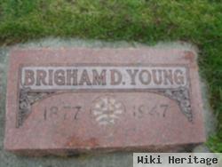 Brigham David Young