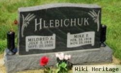 Mike F Hlebichuk