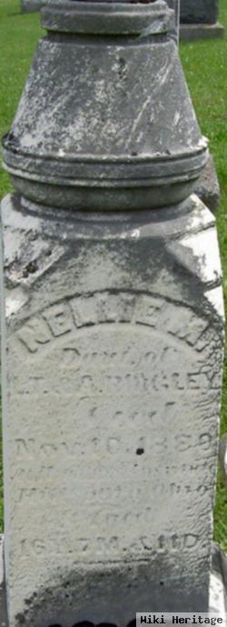 Nellie M Ridgley