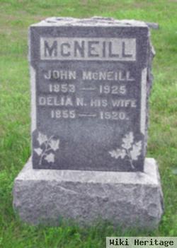 Delia N. Mcneill