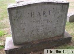 Mary H Mcbriarty Hart