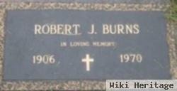 Robert J Burns