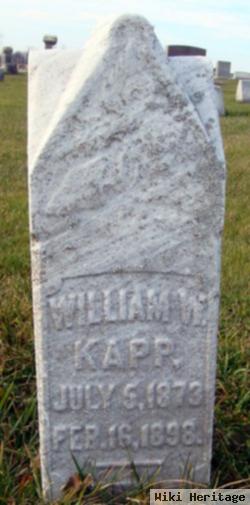 William W Kapp