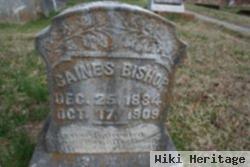 Ethel Lee Gaines Bishop