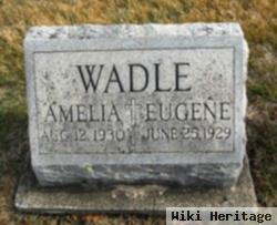 Amelia Wadle