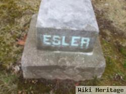 E. A. Esler