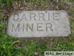 Carrie Ann Miner