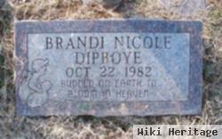 Brandi Nicole Dipboye