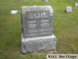 David B Sickels