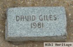 David E Giles