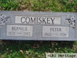 Peter Comiskey