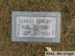 Terry L. Roberts