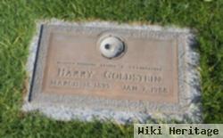 Harry Goldstein