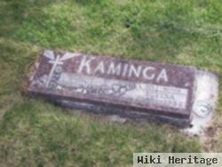 Henry Kaminga