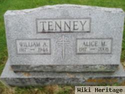 Alice M Rose Tenney