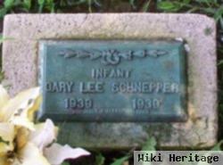 Gary Lee Schnepper