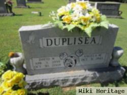 David William Duplisea