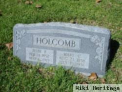 Mary Caroline Hanke Holcomb