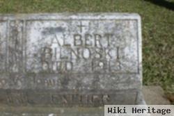 Adalbert George "albert" Bilnoski