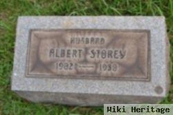 Albert Storey