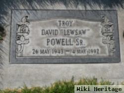 Troy David "lewsaw" Powell, Sr