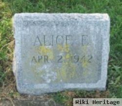 Alice Ellen Hizer Bradley