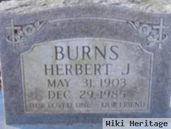 Herbert J. Burns