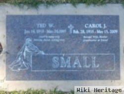 Carol J Small