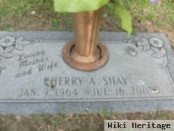 Sheryl Ann "sherry" Mcintyre Shay