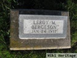 Leroy M Bergeson