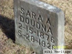 Sarah A Doudna