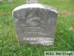 Phebe H. Hillegass