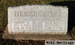 Herbert Henry Herzberger