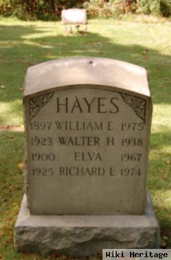 Walter H Hayes