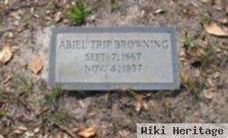 Abiel Tripp "by" Browning