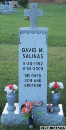 David Matthew Salinas