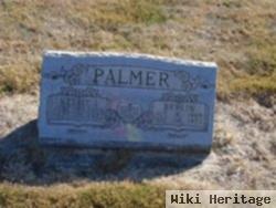 Nellie I Palmer