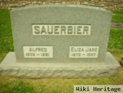 Eliza Jane Ash Sauerbier