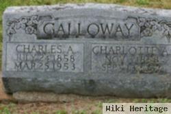 Charlotte Ann Sellers Galloway