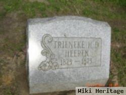 Trieneke H D Heeren