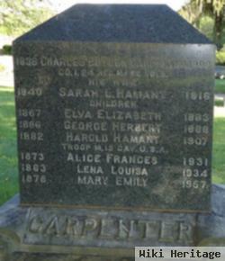 Sarah L. Hamant Carpenter