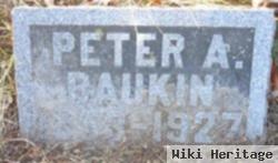 Peter A Baukin