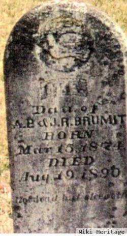 Mollie E. Brumit