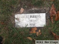 Albert Blevins